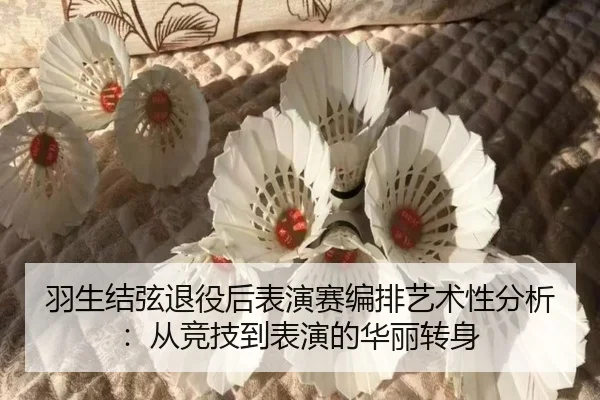 羽生结弦退役后表演赛编排艺术性分析：从竞技到表演的华丽转身