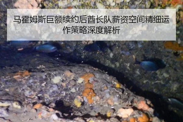 马霍姆斯巨额续约后酋长队薪资空间精细运作策略深度解析