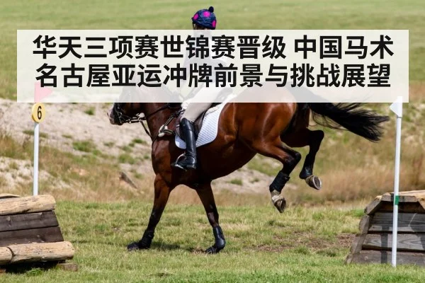 horse cross country eventing